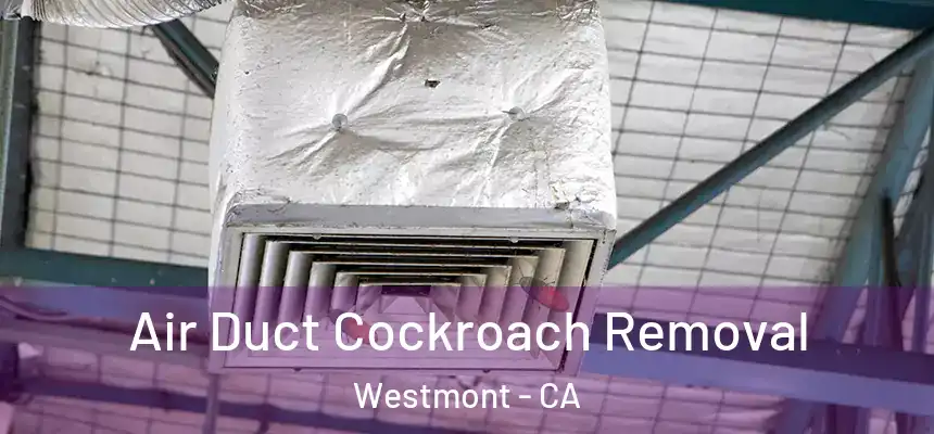  Air Duct Cockroach Removal Westmont - CA