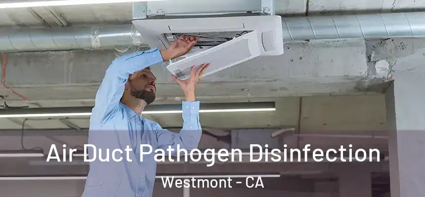  Air Duct Pathogen Disinfection Westmont - CA