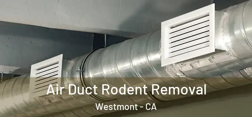  Air Duct Rodent Removal Westmont - CA
