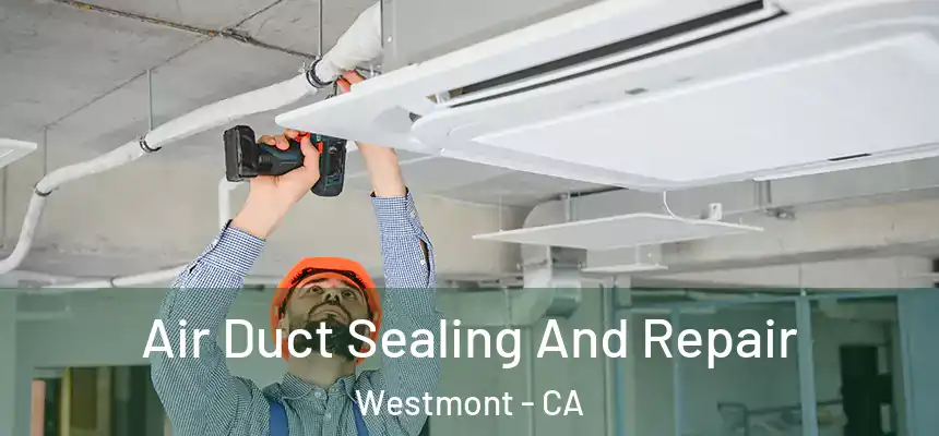  Air Duct Sealing And Repair Westmont - CA