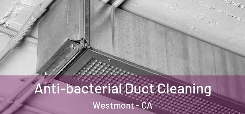  Anti-bacterial Duct Cleaning Westmont - CA