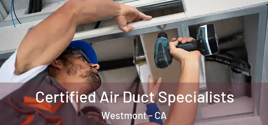  Certified Air Duct Specialists Westmont - CA