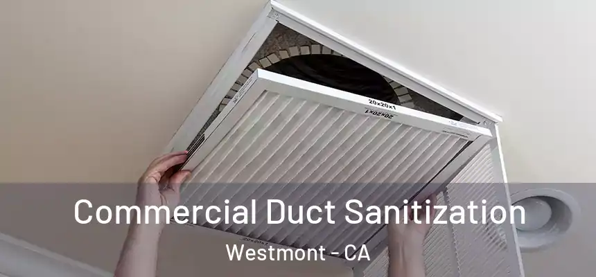 Commercial Duct Sanitization Westmont - CA