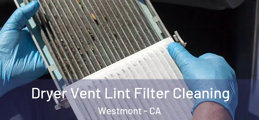  Dryer Vent Lint Filter Cleaning Westmont - CA