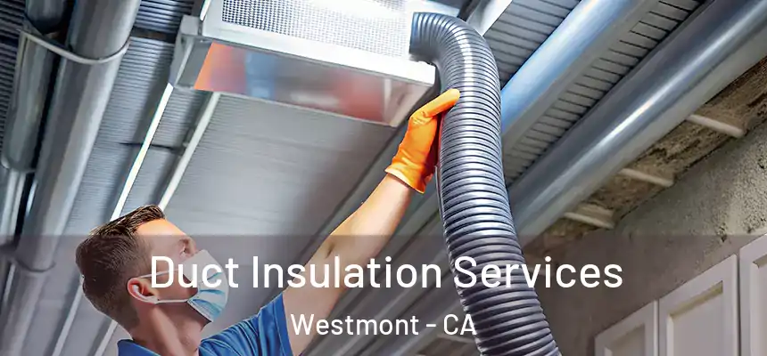 Duct Insulation Services Westmont - CA