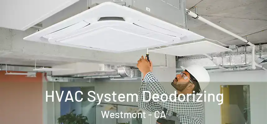 HVAC System Deodorizing Westmont - CA