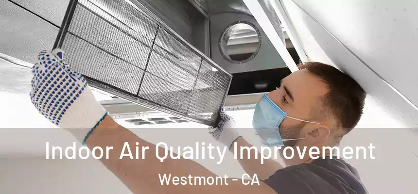 Indoor Air Quality Improvement Westmont - CA