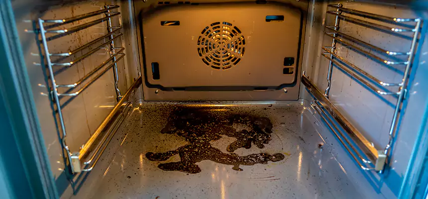 Our Dryer Vent Mold Cleaning Services in Westmont, CA