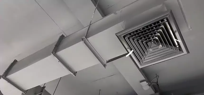 Our Pest Removal From Ducts Services in Westmont, CA