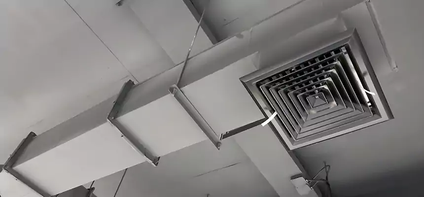 Our Rodent Droppings In Vents Services in Westmont, CA