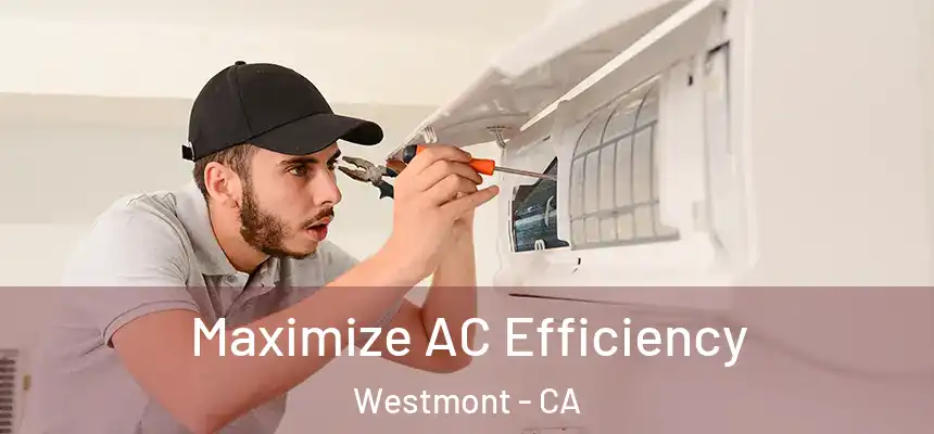 Maximize AC Efficiency Westmont - CA