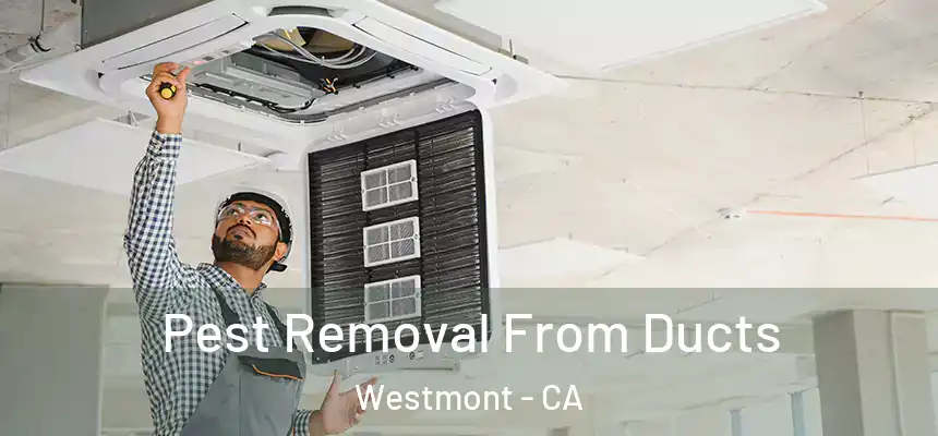  Pest Removal From Ducts Westmont - CA