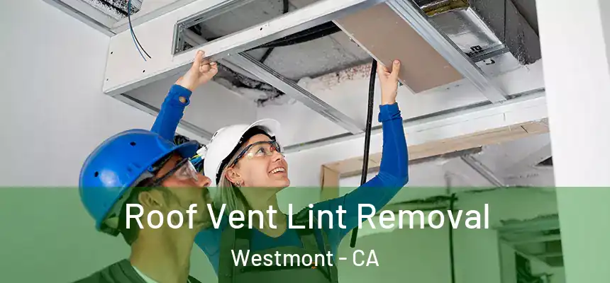 Roof Vent Lint Removal Westmont - CA