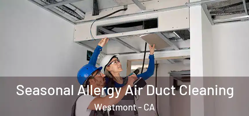 Seasonal Allergy Air Duct Cleaning Westmont - CA
