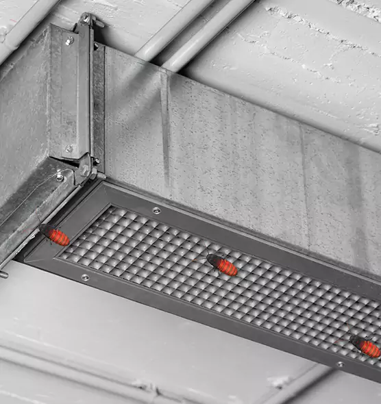 Affordable Insect Removal from Air Ducts in Westmont, CA