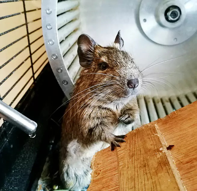 Why Homeowners & Businesses Trust Us Westmont, CA?