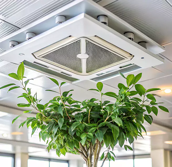 Why Homeowners & Businesses Trust Us in Westmont, CA