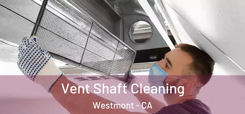 Vent Shaft Cleaning Westmont - CA