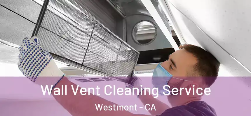Wall Vent Cleaning Service Westmont - CA